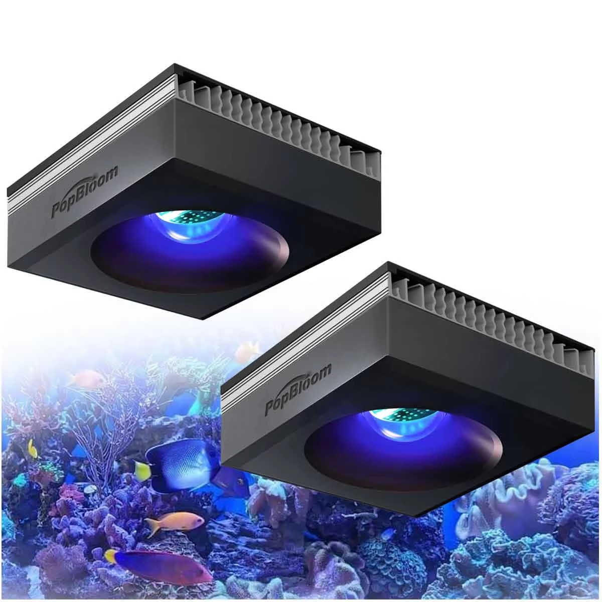 Marine Aquarium Tanks - PopBloom RL90 WiFi Reef Aquarium Light