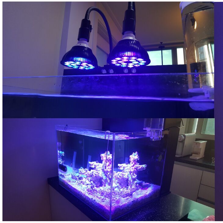 Marine Aquarium Tanks - Free customize LED Aquarium light led
