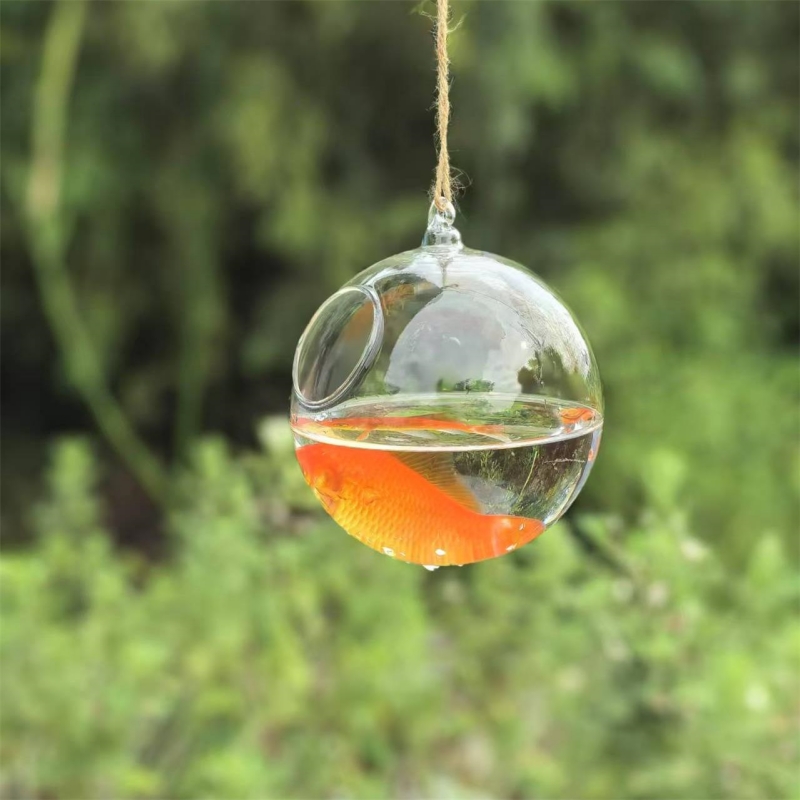 Aquarium & Marine Science Center - Small Packing Diameter=10cm 12cm 15cm 20cm