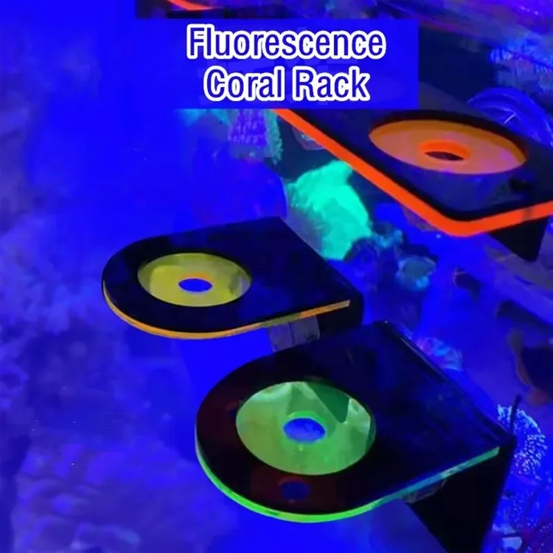 Marine Aquarium Tanks - Fish Tank Acrylic Fluorescent Coral Brackets