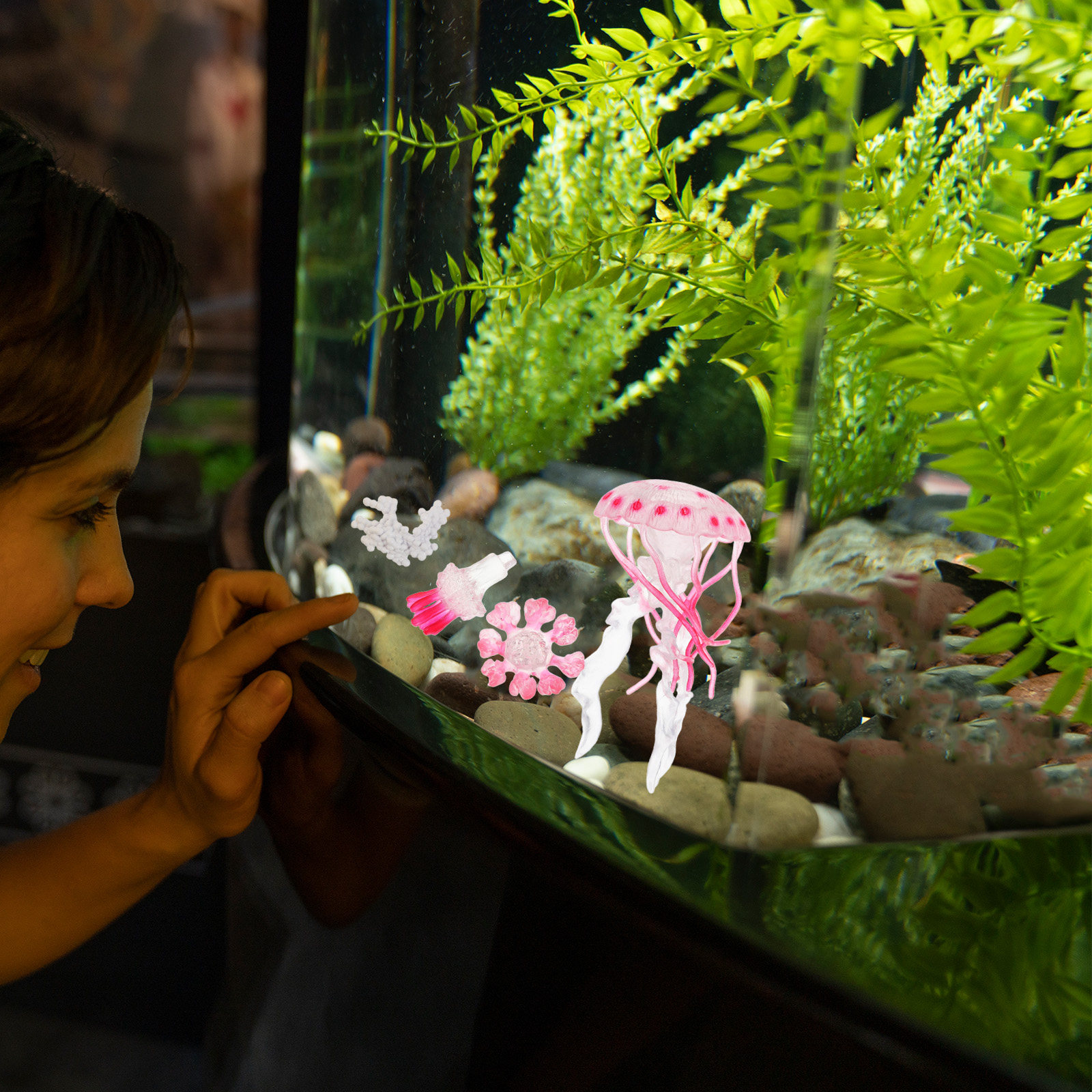 Marine Life Aquariums - 1Set Jellyfish Life Cycle Educational Marine