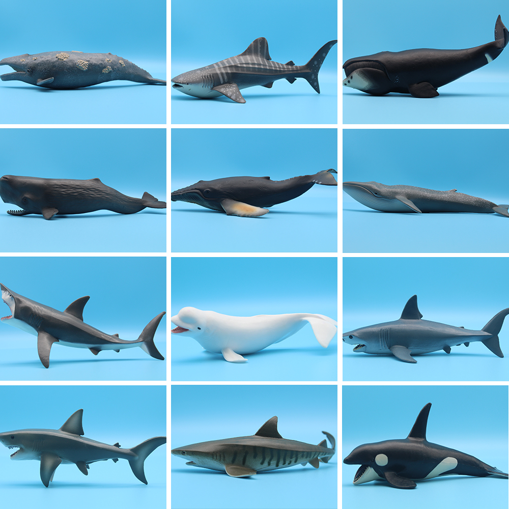 Ocean Sea Life Simulation Kill - Marine Life Aquariums recension och pris