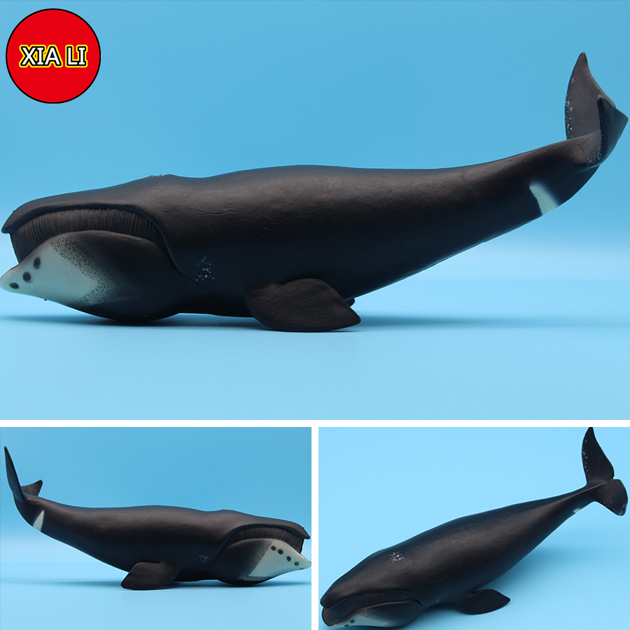 Ocean Sea Life Simulation Kill - Marine Life Aquariums recension och pris