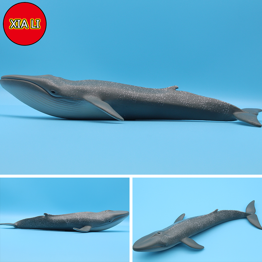Ocean Sea Life Simulation Kill - Marine Life Aquariums recension och pris