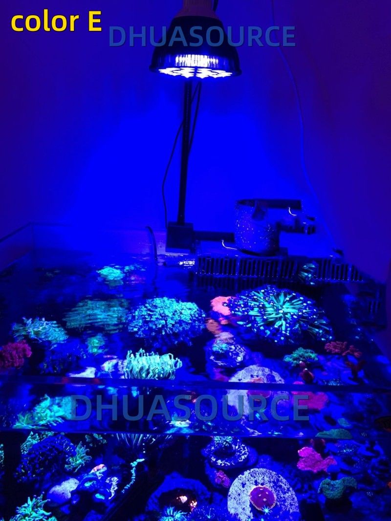 Free customize LED Aquarium li - Marine Aquarium Tanks recension och pris