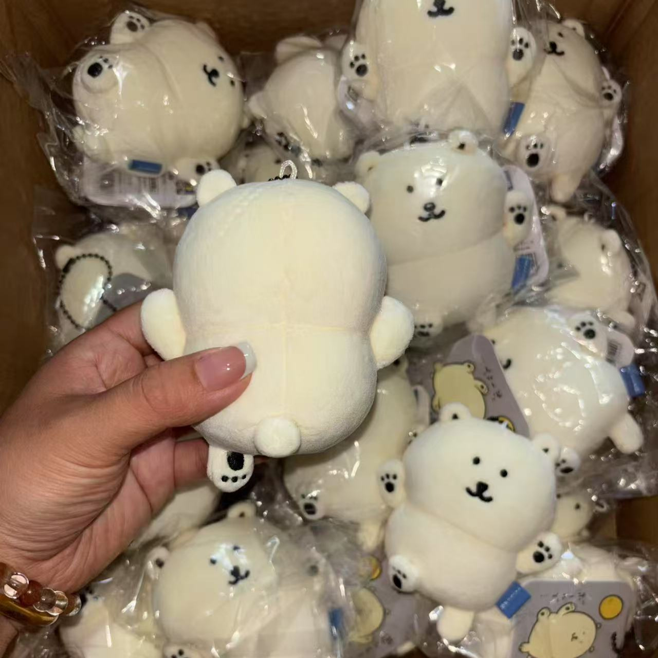 Nagano Joke Bear Aquarium Seri - Aquarium & Marine Science Center recension och pris