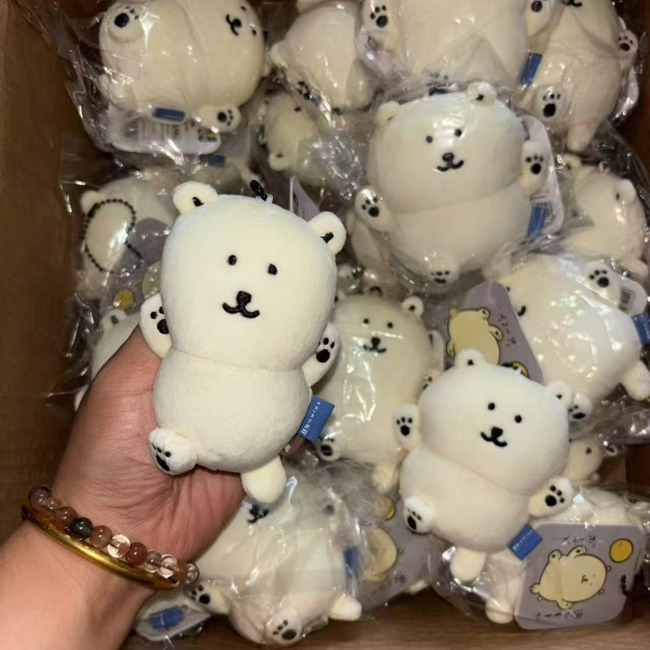 Nagano Joke Bear Aquarium Seri - Aquarium & Marine Science Center recension och pris