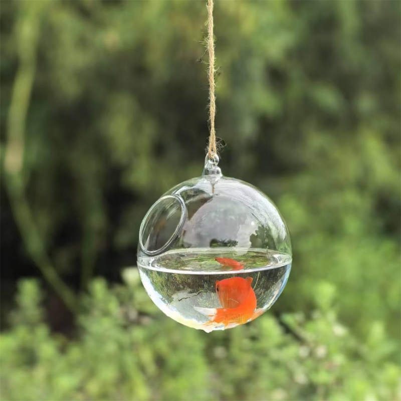 Small Packing Diameter=10cm 12 - Aquarium & Marine Science Center recension och pris