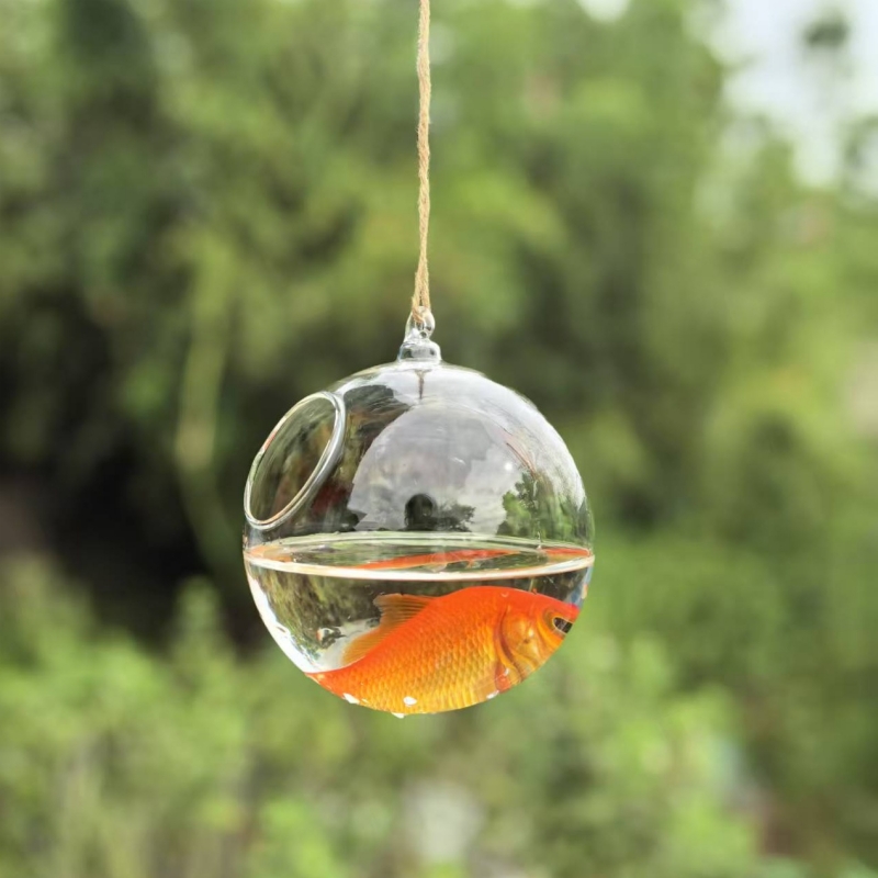 Small Packing Diameter=10cm 12 - Aquarium & Marine Science Center recension och pris