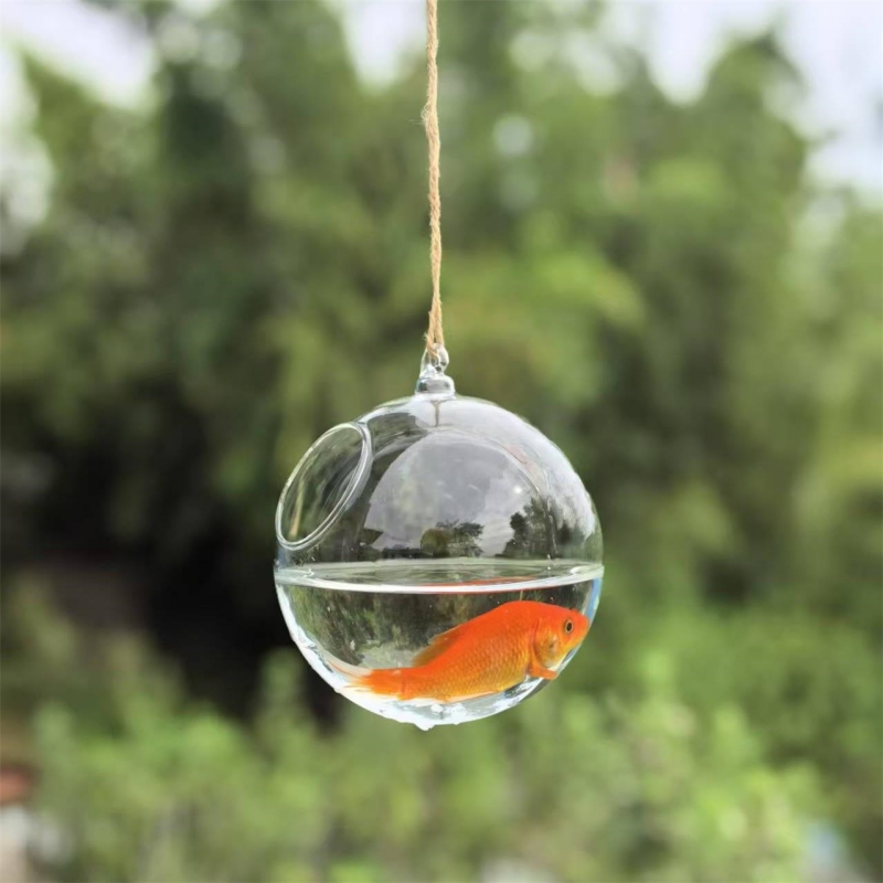 Small Packing Diameter=10cm 12 - Aquarium & Marine Science Center recension och pris