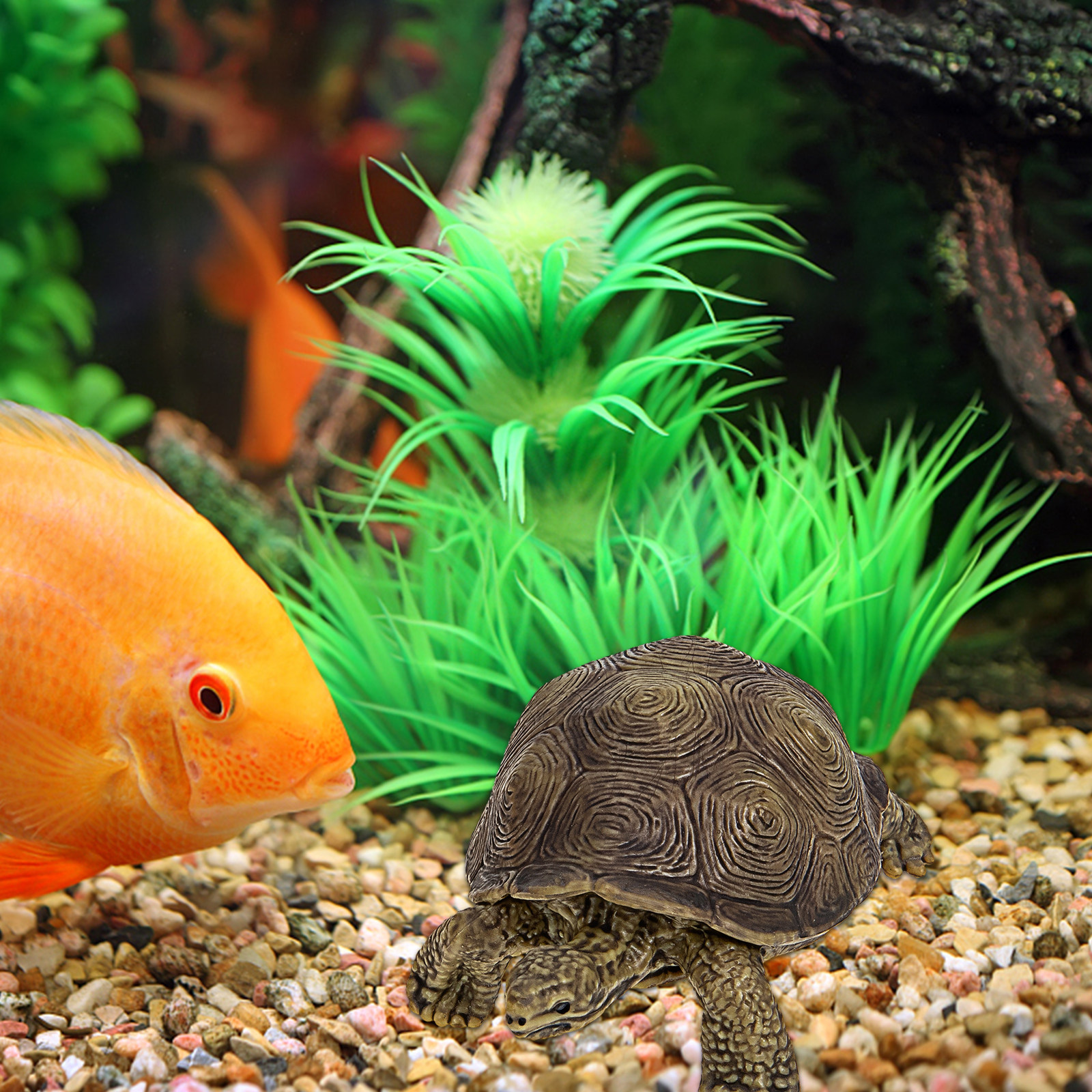 2Pcs Simulation Tortoise Plast - Marine Life Aquariums recension och pris