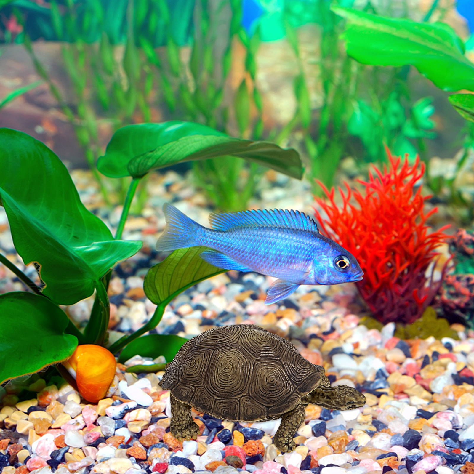 2Pcs Simulation Tortoise Plast - Marine Life Aquariums recension och pris