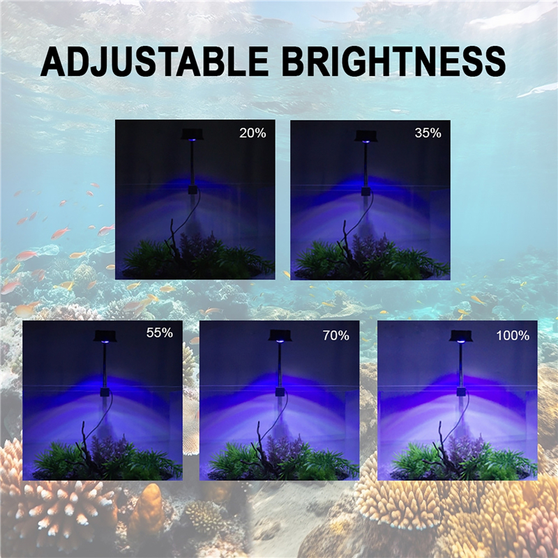 30W Aquarium Fish Tank Sea Wat - Marine Aquarium Tanks recension och pris