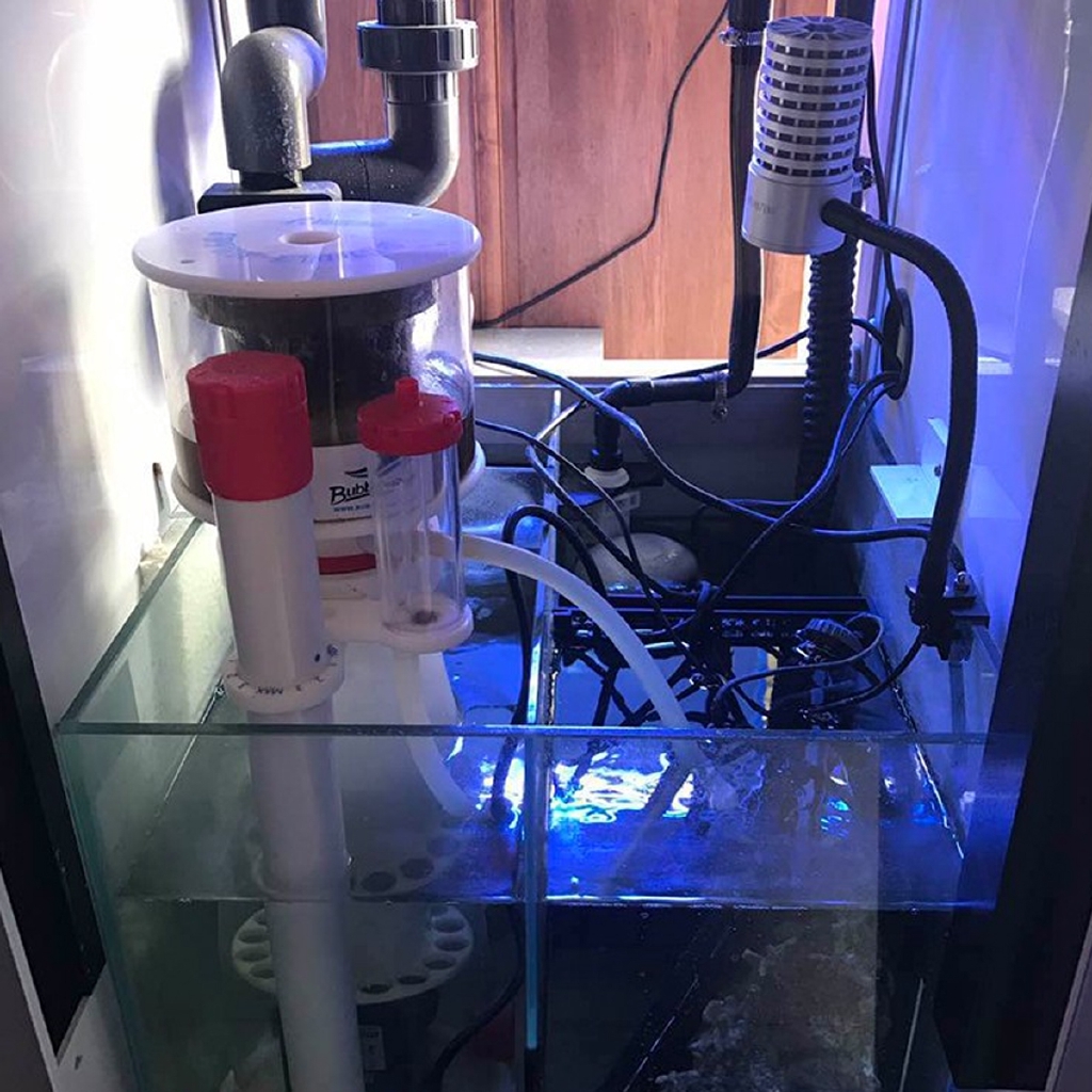 220V Bubble Magus Curve5 Aquar - Marine Aquarium Tanks recension och pris