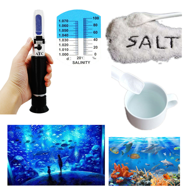 Salinity Refractometer 0-10% 1 - Refractometer Salinity recension och pris