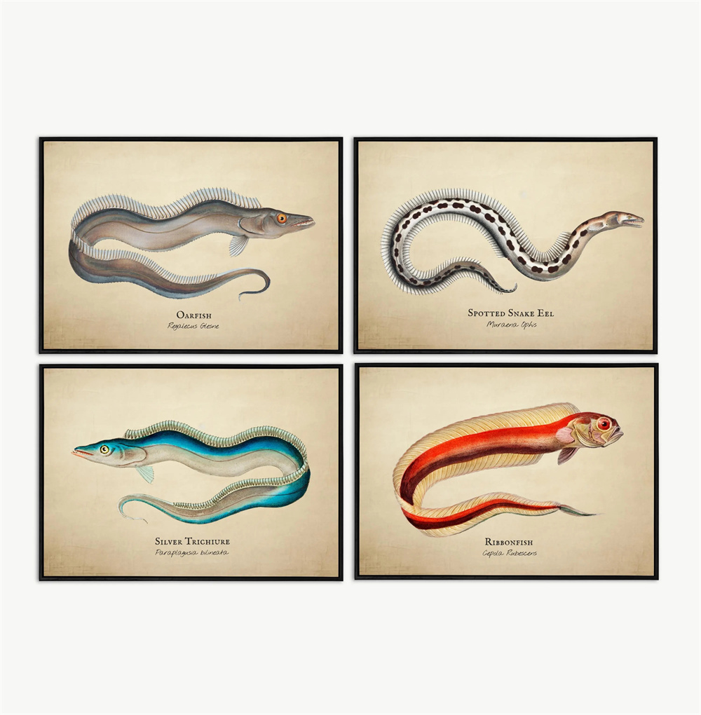 Vintage Pictures Tropical Fish - Marine Life Aquariums recension och pris