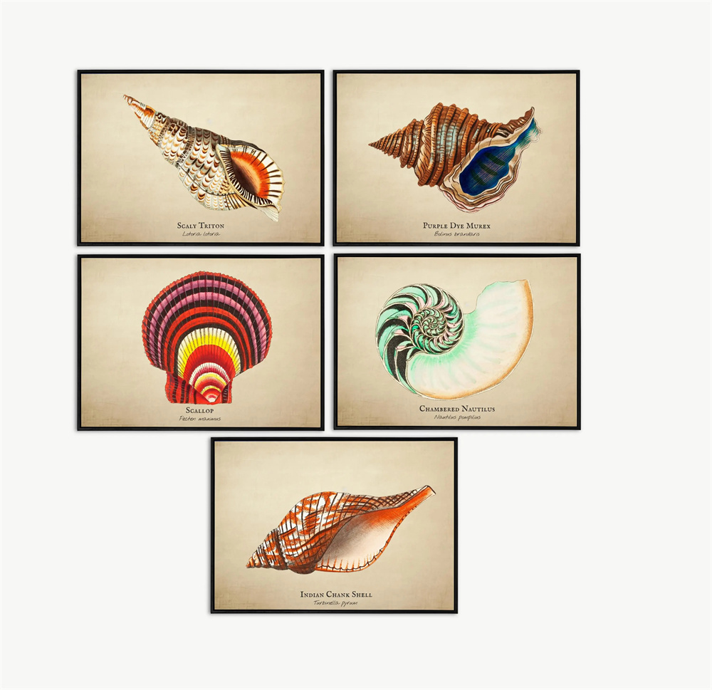 Vintage Pictures Tropical Fish - Marine Life Aquariums recension och pris