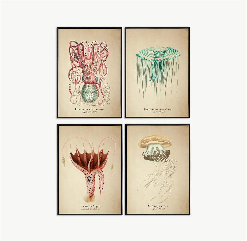 Vintage Pictures Tropical Fish - Marine Life Aquariums recension och pris