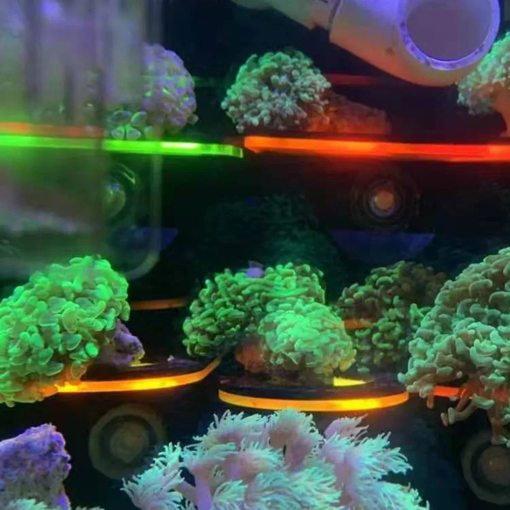 Fish Tank Acrylic Fluorescent  - Marine Aquarium Tanks recension och pris