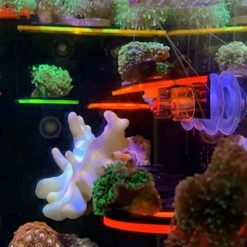 Fish Tank Acrylic Fluorescent  - Marine Aquarium Tanks recension och pris