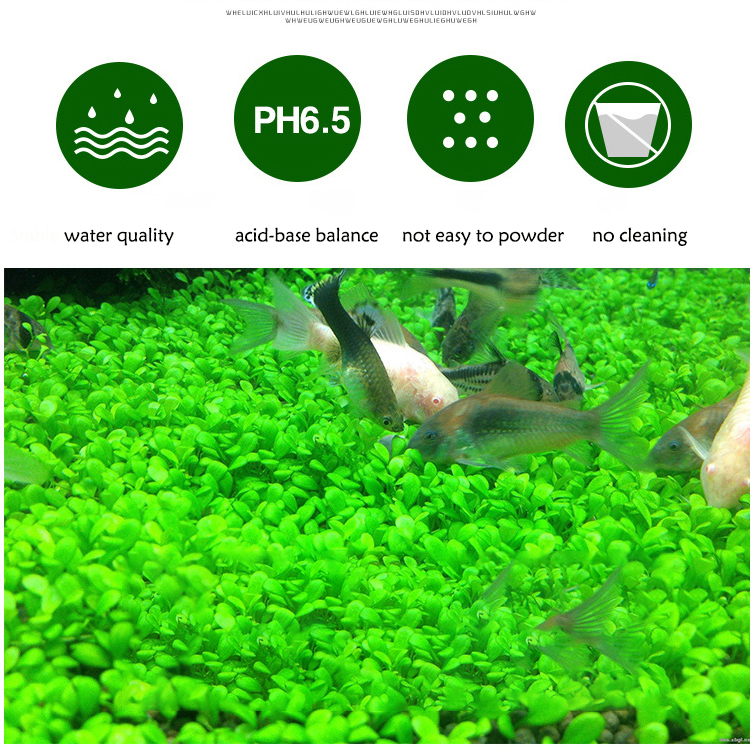 Aquarium Plant Seeds Soil Fish - Aquarium Marine Sand recension och pris