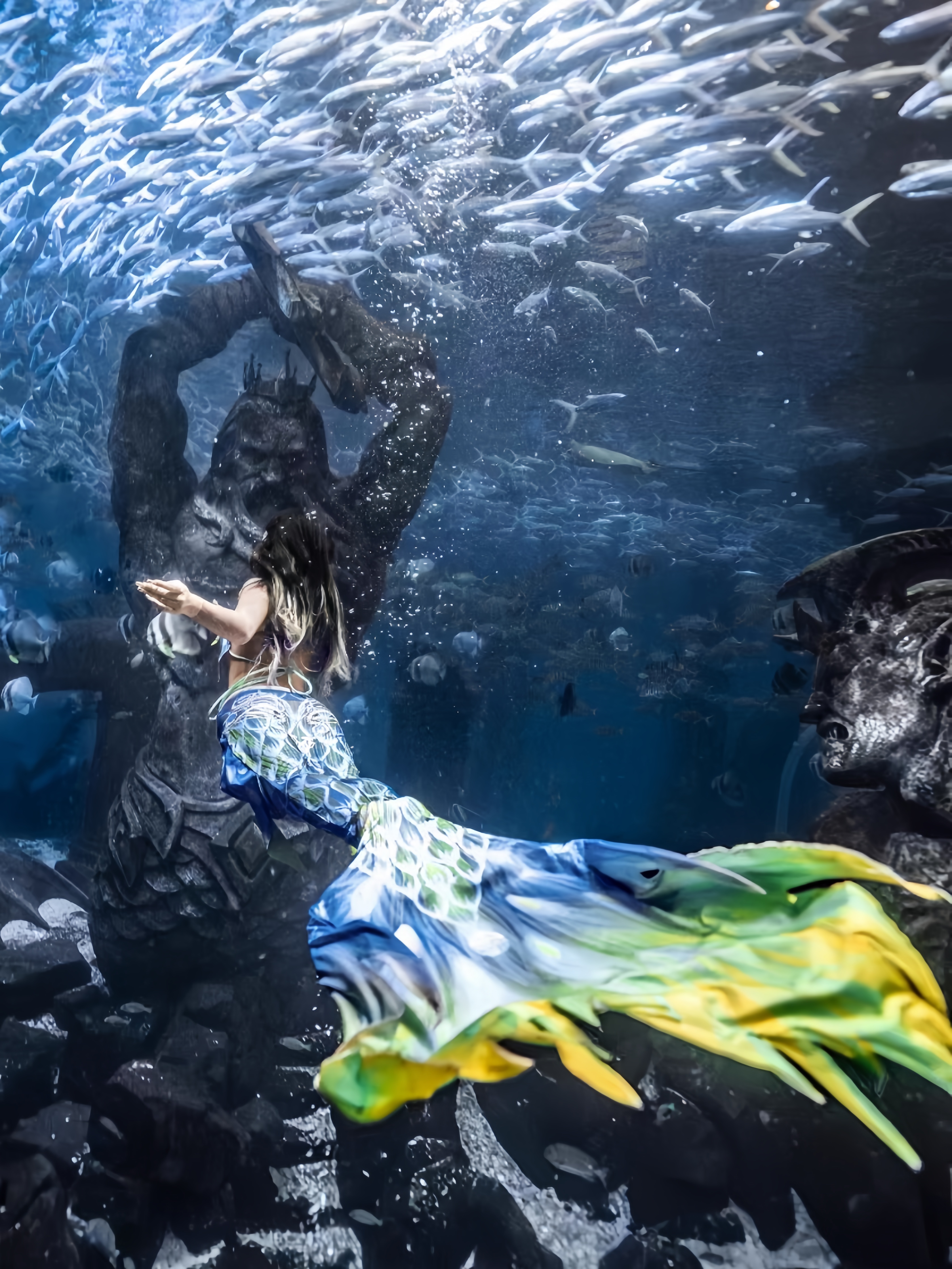 Mermaid Tail Adult Ladies Swim - Aquarium & Marine Science Center recension och pris