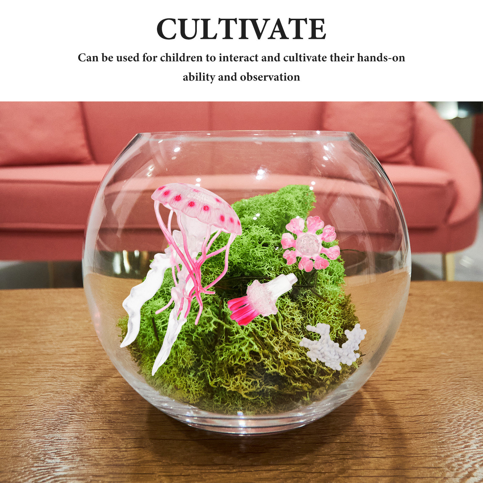 1Set Jellyfish Life Cycle Educ - Marine Life Aquariums recension och pris