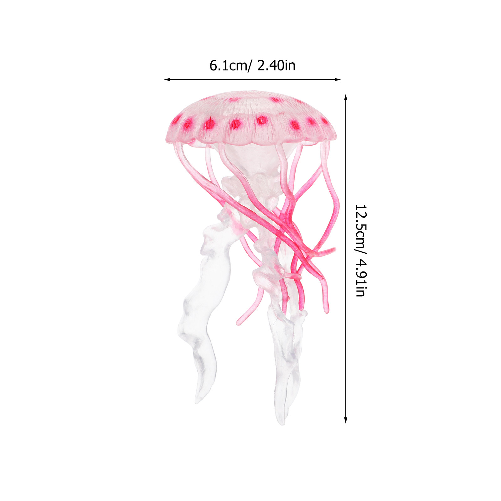 1Set Jellyfish Life Cycle Educ - Marine Life Aquariums recension och pris