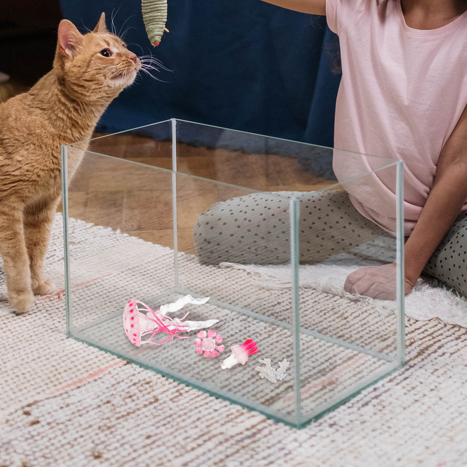 1Set Jellyfish Life Cycle Educ - Marine Life Aquariums recension och pris