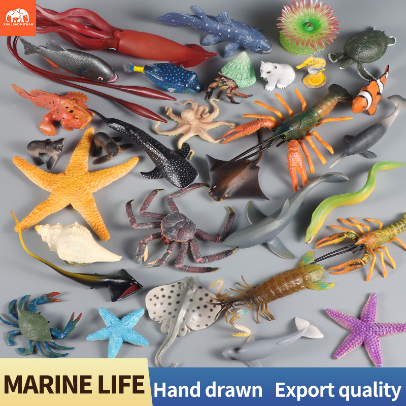 Sea Life Animal Action Figures - Marine Life Aquariums recension och pris