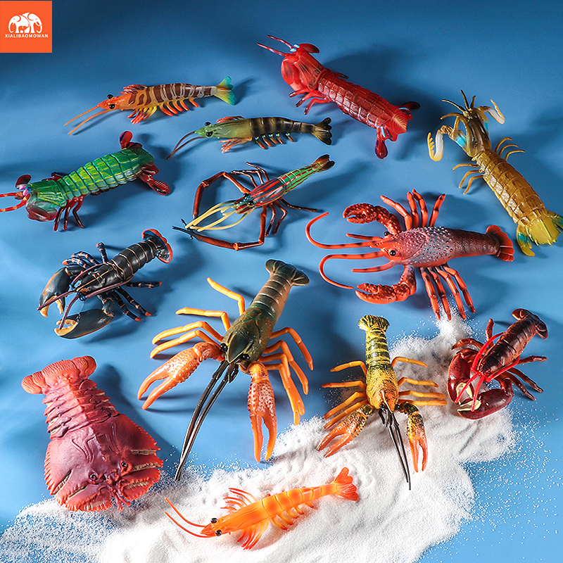 Sea Life Animals Boston Lobste - Marine Life Aquariums recension och pris