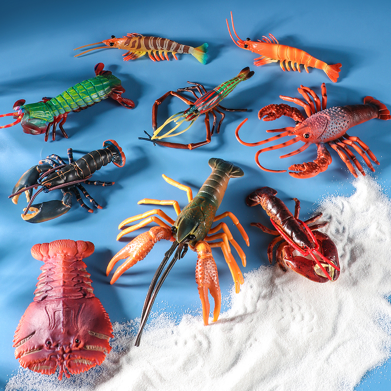 Sea Life Animals Boston Lobste - Marine Life Aquariums recension och pris