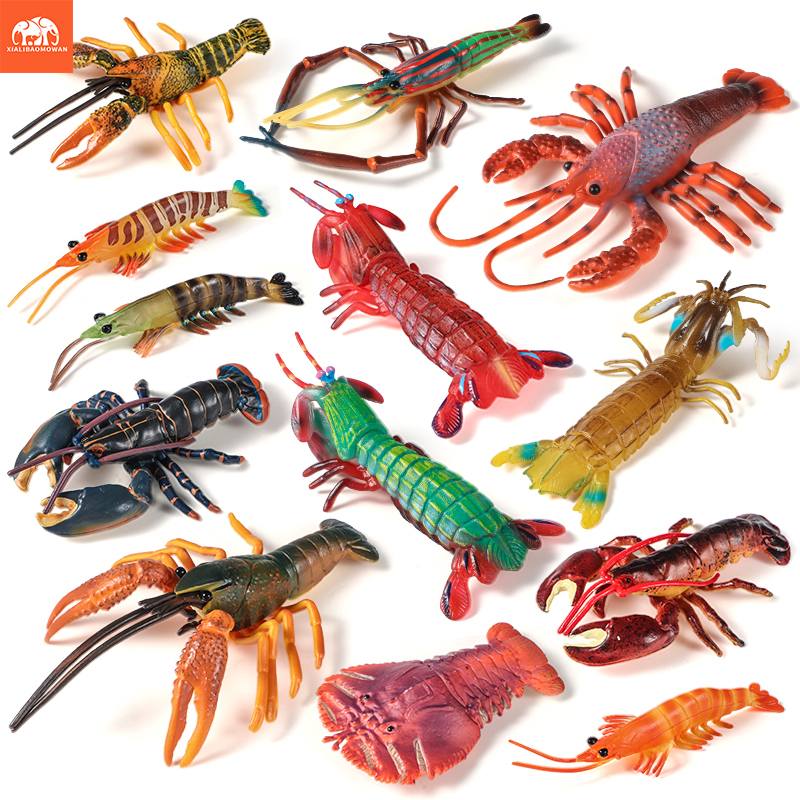 Sea Life Animals Boston Lobste - Marine Life Aquariums recension och pris